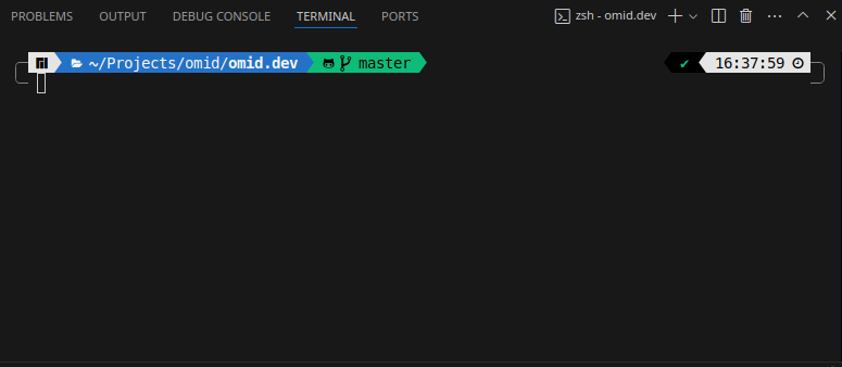 Screenshot of OhMyZSH in VSCode